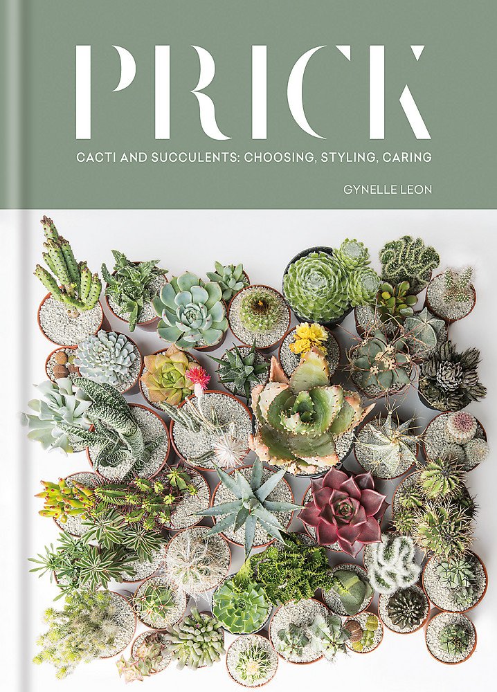 Prick Cacti And Succulents Choosing Styling Caring Gynelle Leon