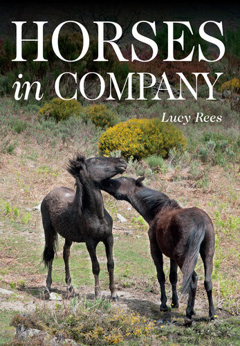 Horses In Company Lucy Rees