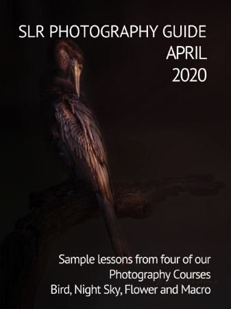 Slr Photography Guide April 2020 Slr Photography Guide