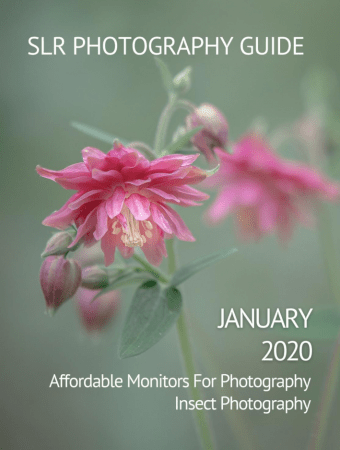 Slr Photography Guide January 2020 Slr Photography Guide