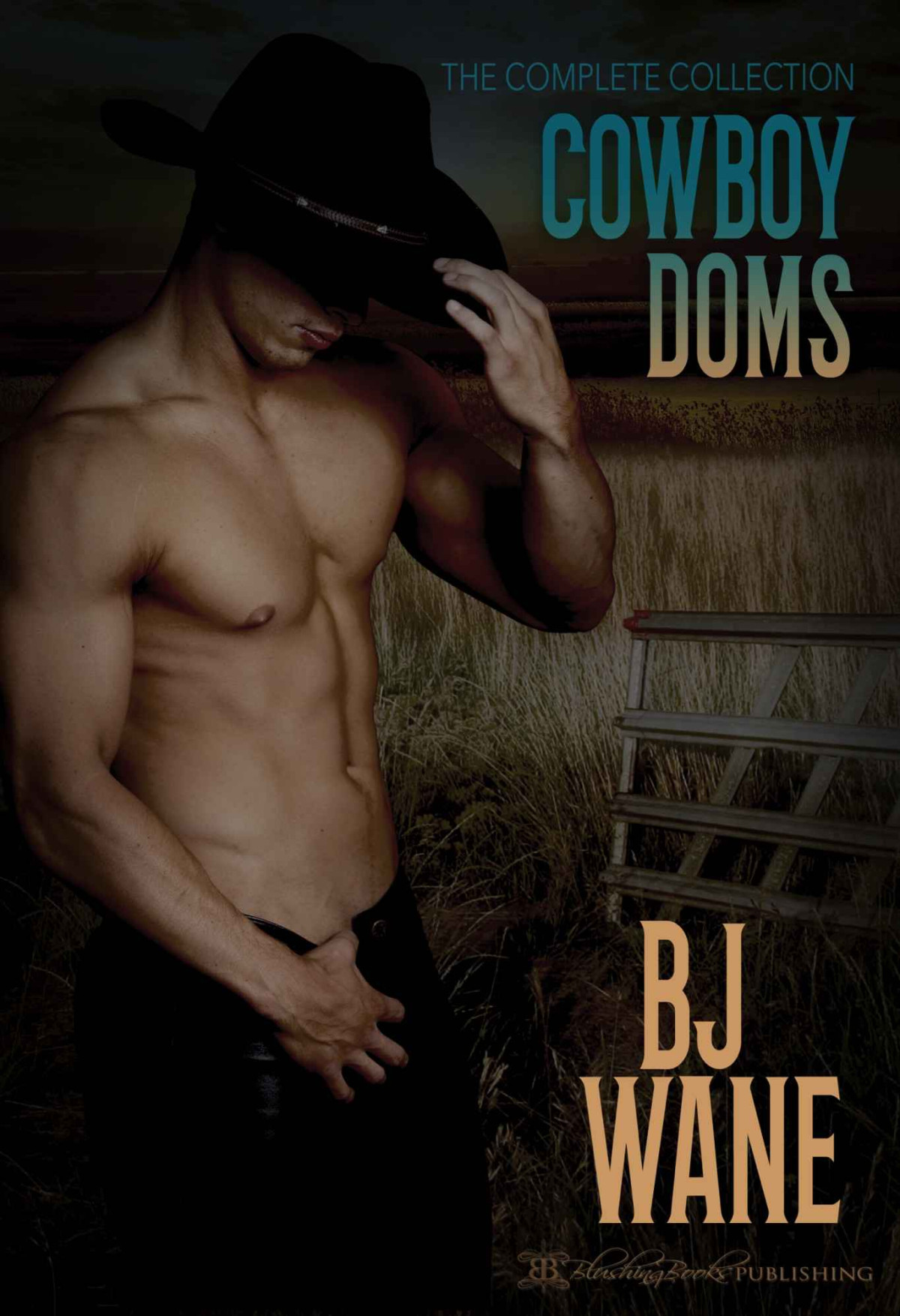Cowboy Doms Collection Bj Wane Wane Bj