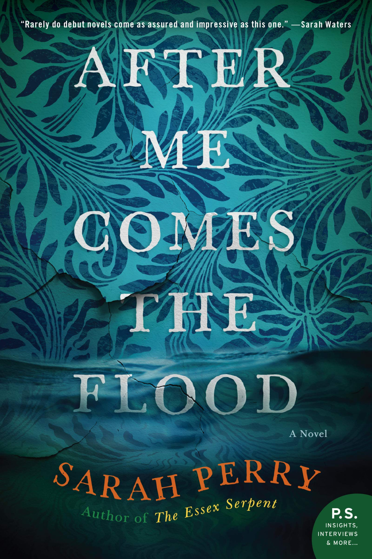 After Me Comes The Flood Sarah Perry