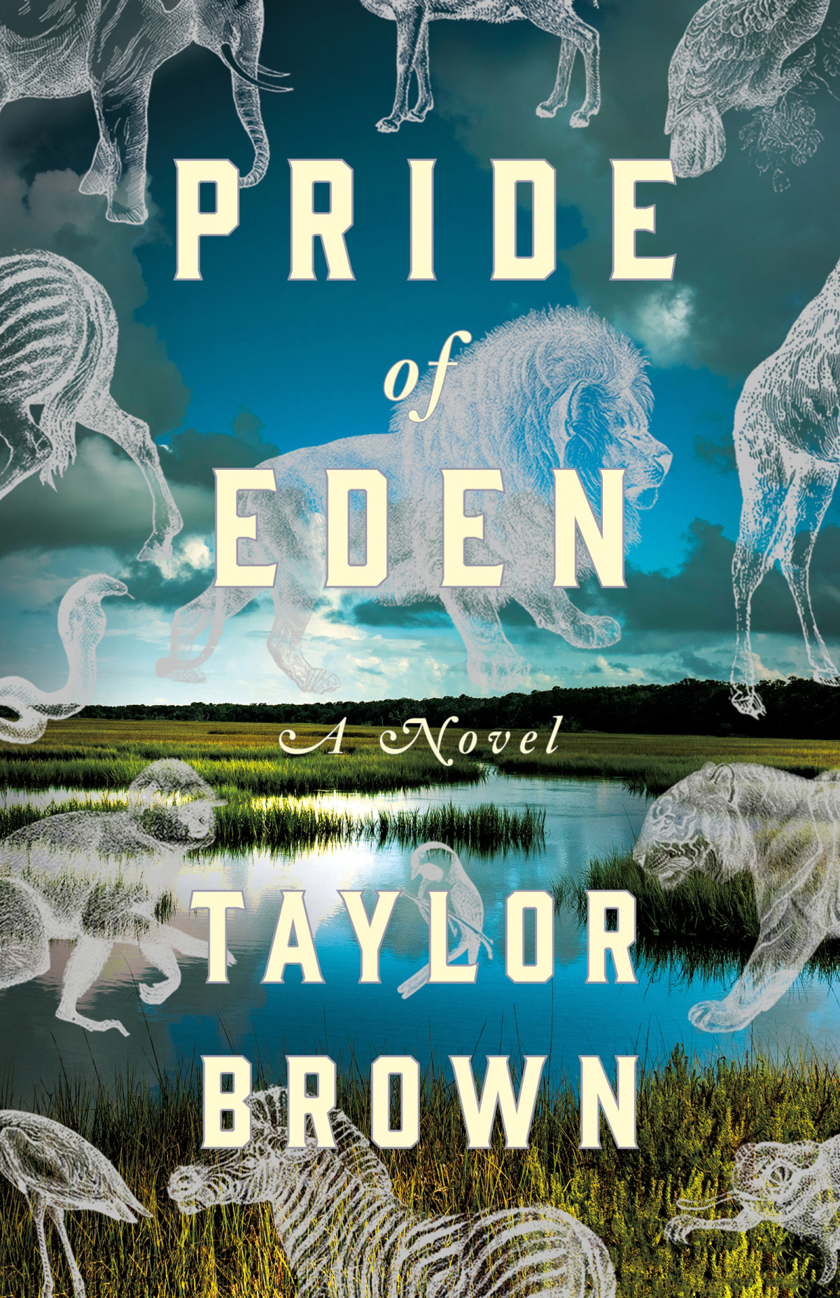Pride Of Eden Taylor Brown