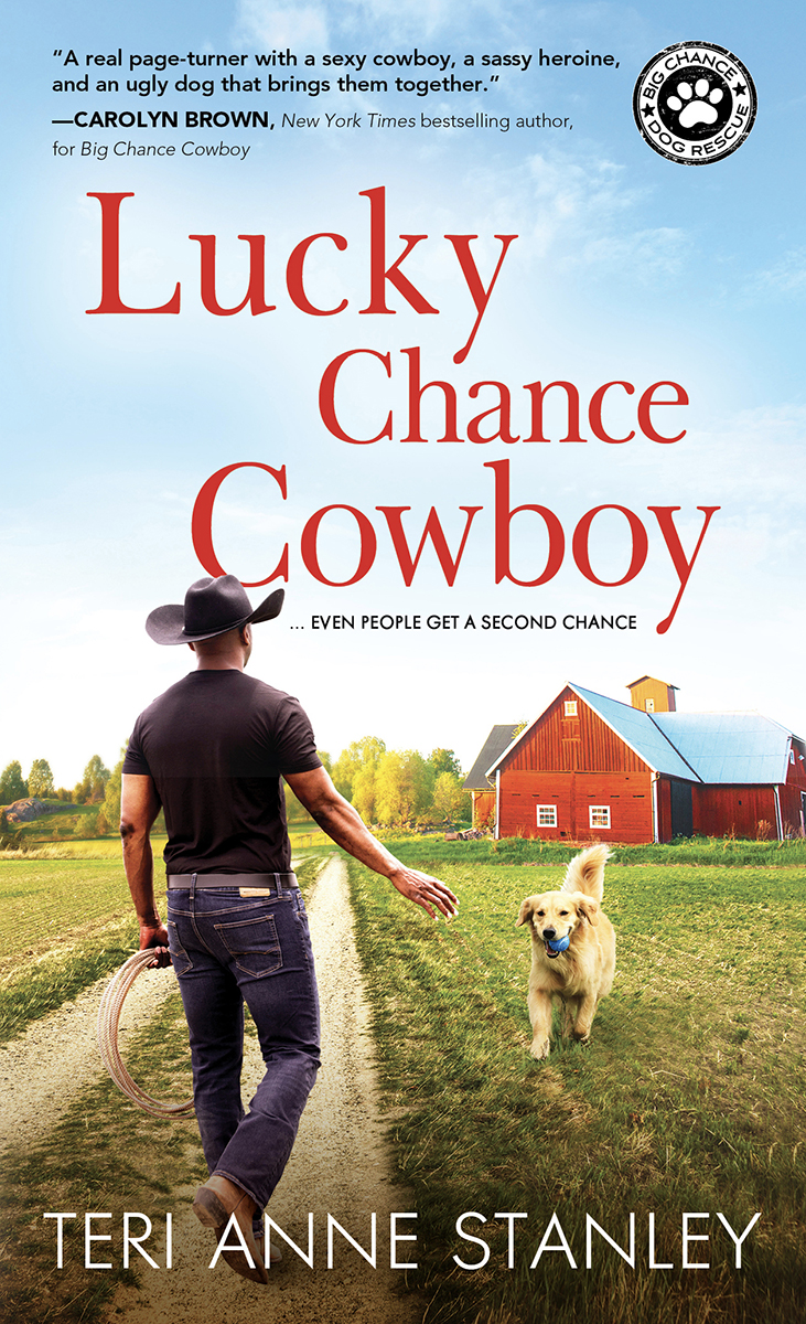 Lucky Chance Cowboy Teri Anne Stanley