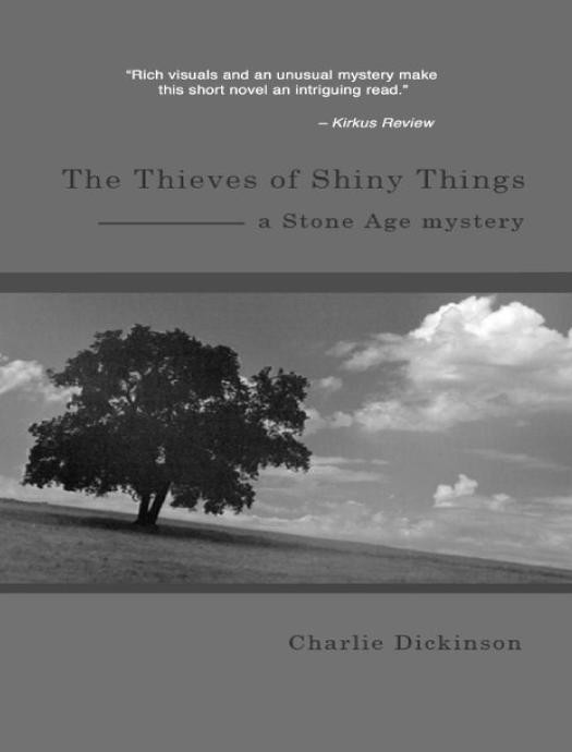 The Thieves Of Shiny Things Charlie Dickinson
