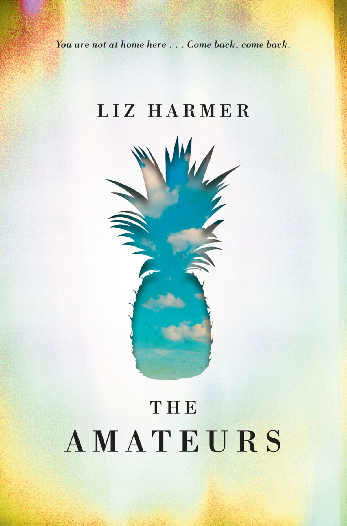 The Amateurs Liz Harmer Harmer Liz