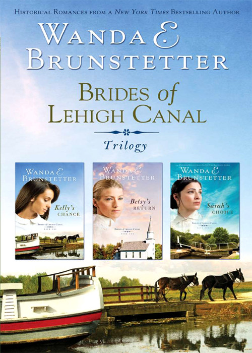 Brides Of Lehigh Canal Omnibus Wanda E Brunstetter Brunstetter