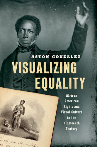 Visualizing Equality African American Rights And Visual Culture In The Nineteenth Century Aston Gonzalez