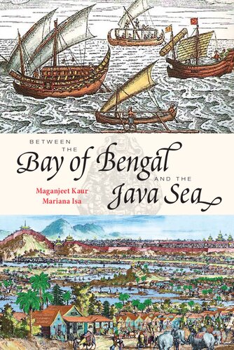 Between The Bay Of Bengal And The Java Sea Trade Routes Ancient Ports And Cultural Commonalities In Southeast Asia Mariana Isa