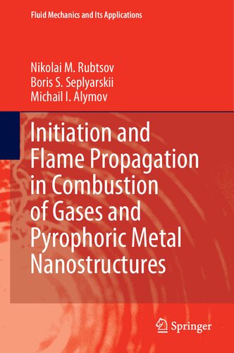 Initiation And Flame Propagation In Combustion Of Gases And Pyrophoric Metal Nanostructures 1st Edition Nikolai M Rubtsov