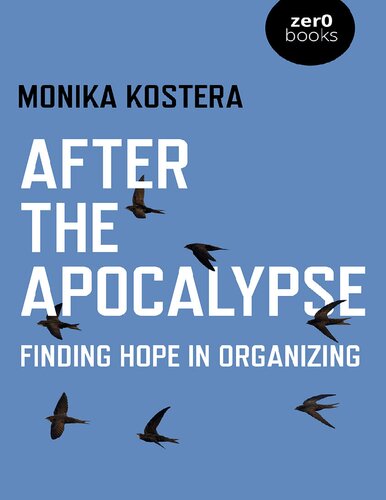 After The Apocalypse Finding Hope In Organizing 1st Edition Monika Kostera