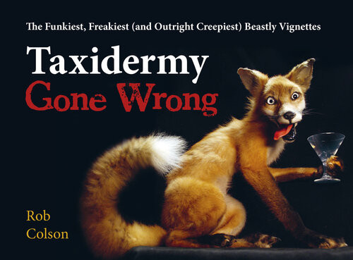 Taxidermy Gone Wrong Rob Colson