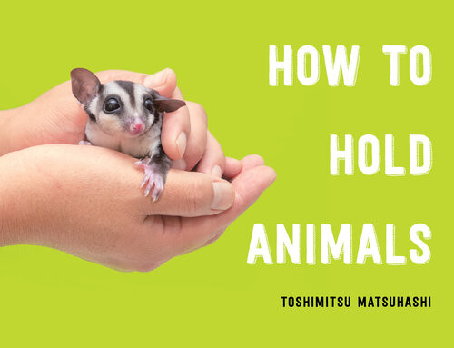 How To Hold Animals Toshimitsu Matsuhashi Angus Turvill Translation