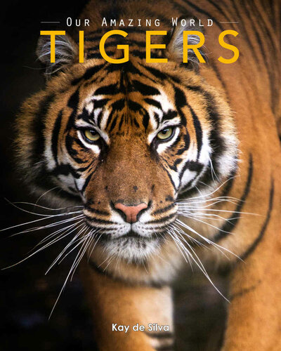 Tigers Amazing Pictures Fun Facts On Animals In Nature Our Amazing World Series Book 10 Kay De Silva