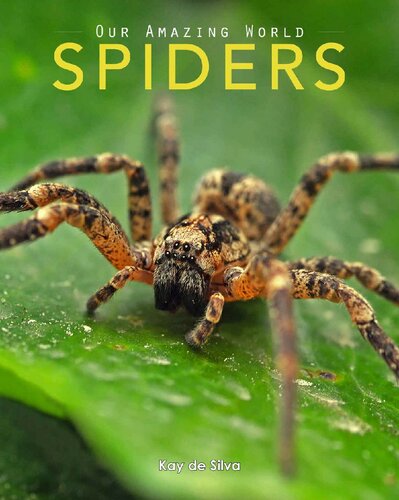 Spiders Amazing Pictures Fun Facts On Animals In Nature Our Amazing World Series Book 7 Kay De Silva