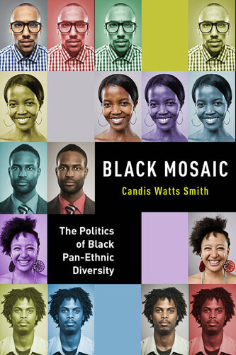Black Mosaic The Politics Of Black Panethnic Diversity Candis Watts Smith