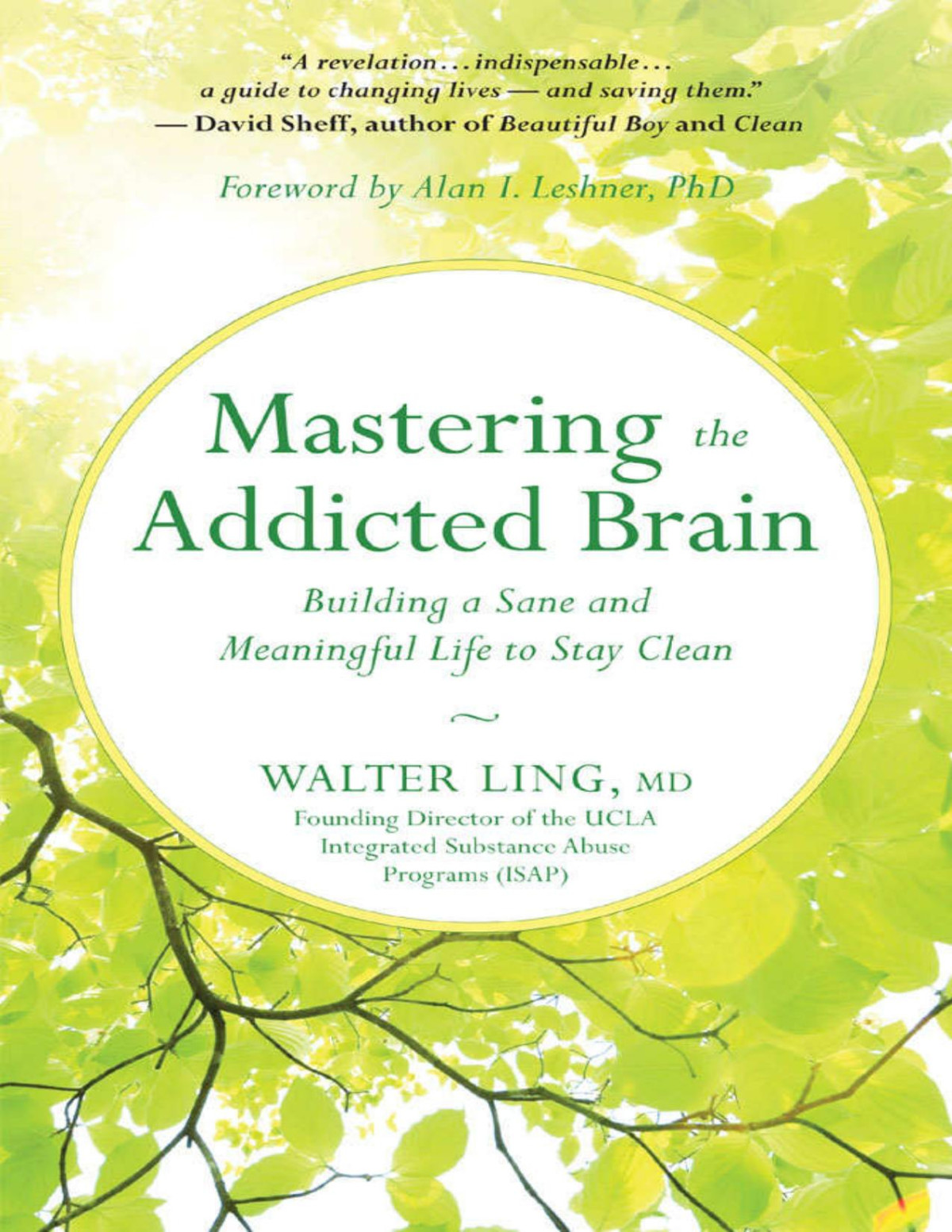Mastering The Addicted Brain Building A Sane And Meaningful Life To Stay Clean Walter Ling Ling
