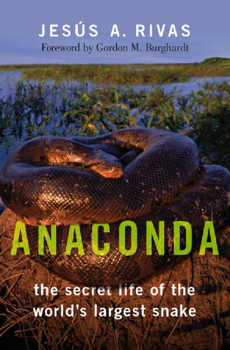 Anaconda The Secret Life Of The Worlds Largest Snake Jess A Rivas