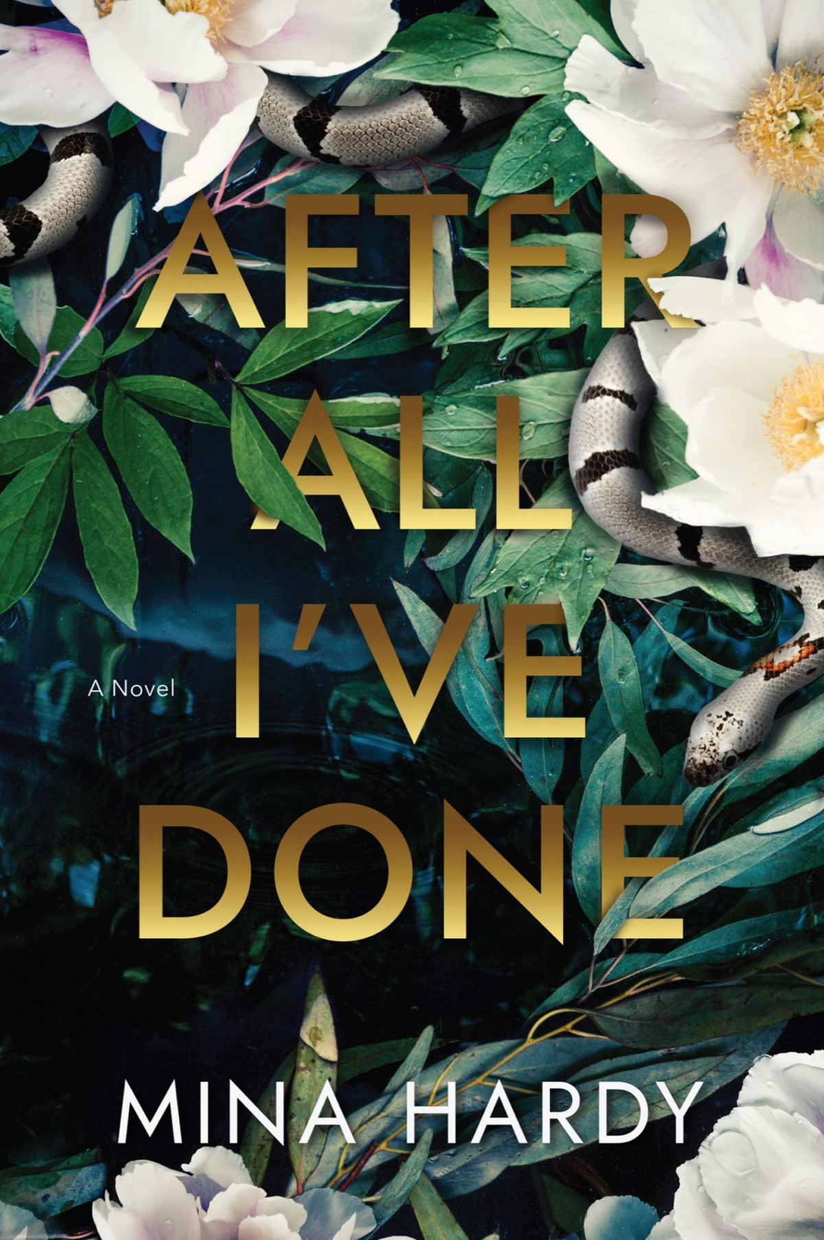 After All Ive Done Mina Hardy