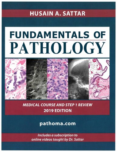 Fundamentals Of Pathology Medical Course And Step 1 Review 2019 Edition 2019th Edition Husain A Sattar