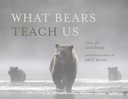 What Bears Teach Us Sarah Elmeligi Alexandra Santos