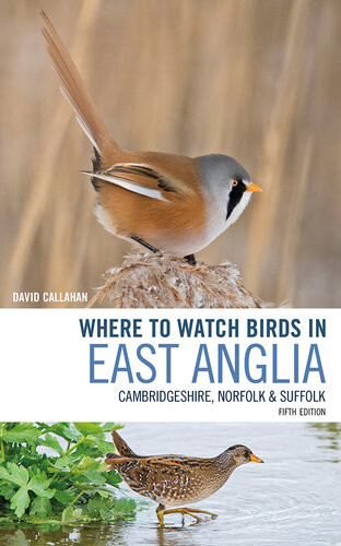 Where To Watch Birds In East Anglia David Callahan