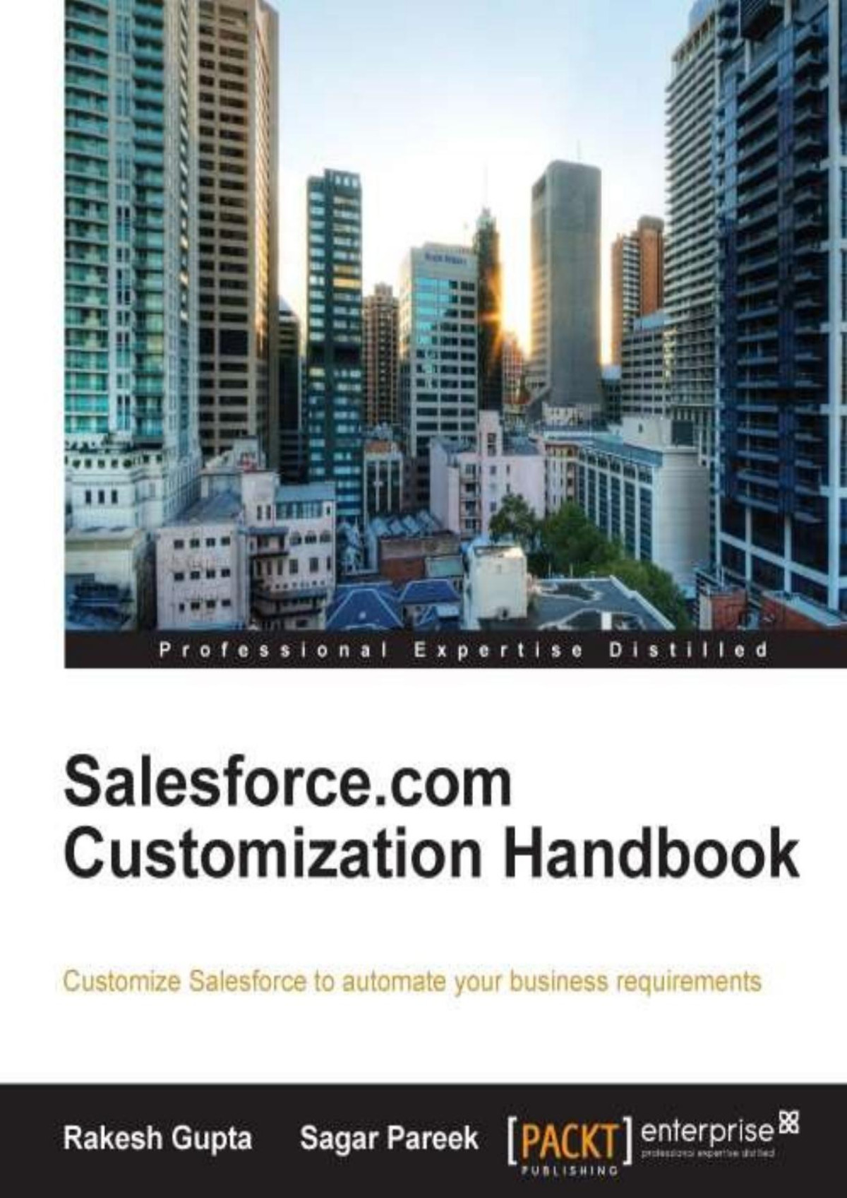 Salesforcecom Customization Handbook Rakesh Gupta Sagar Pareek Gupta