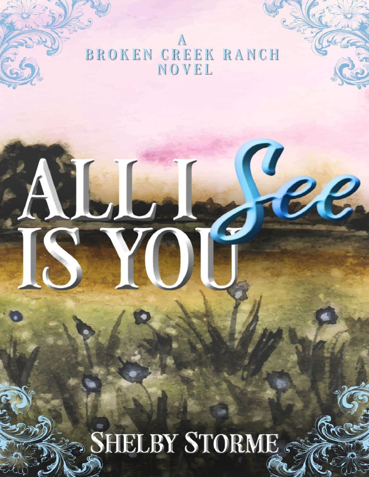All I See Is You A Broken Creek Ranch Novel Storme Shelby