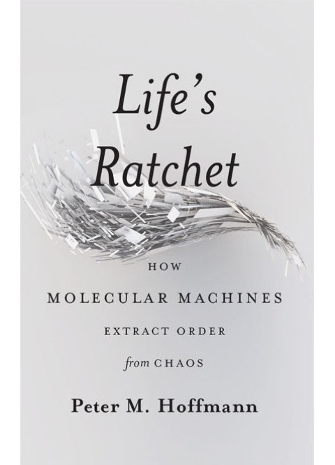 Lifes Ratchet How Molecular Machines Extract Order From Chaos 1st Edition Hoffmann