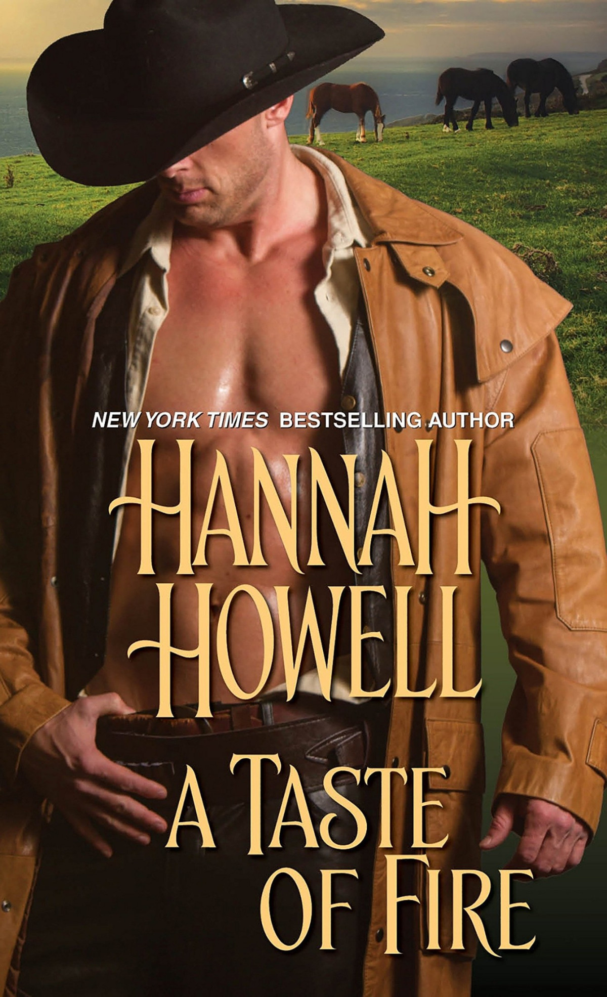 A Taste Of Fire Hannah Howell
