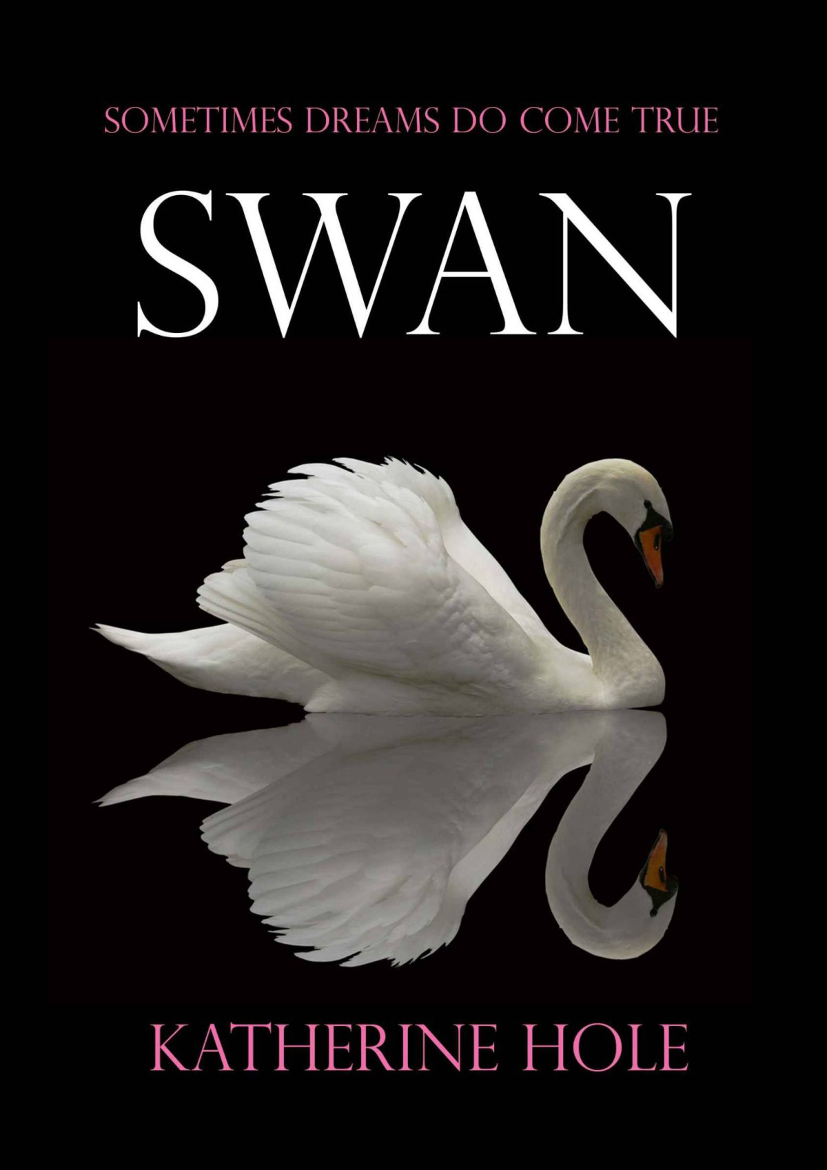 Swan A Very Funny Romantic Novel Katherine Hole