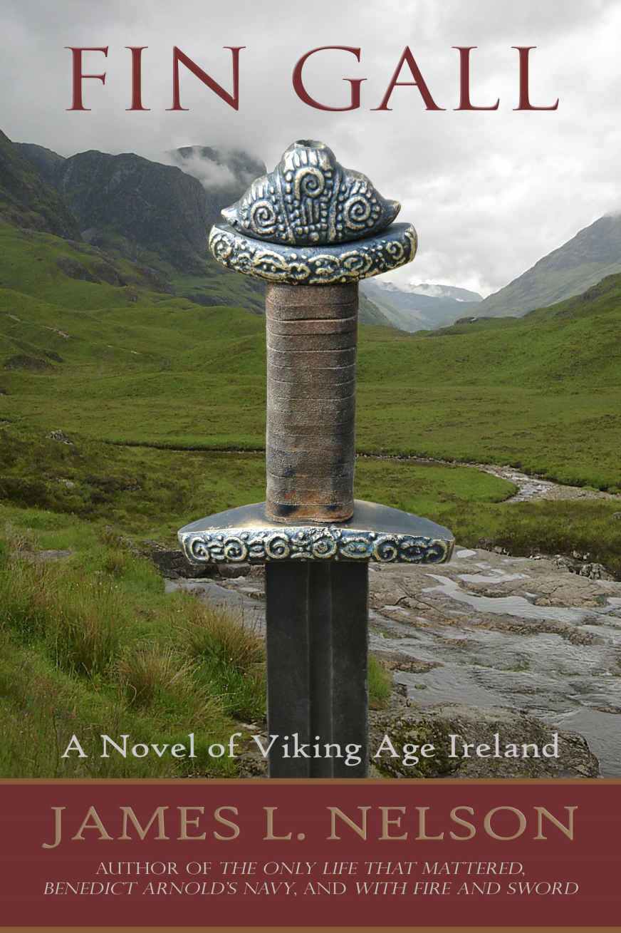 Fin Gall A Novel Of Viking Age Ireland James L Nelson