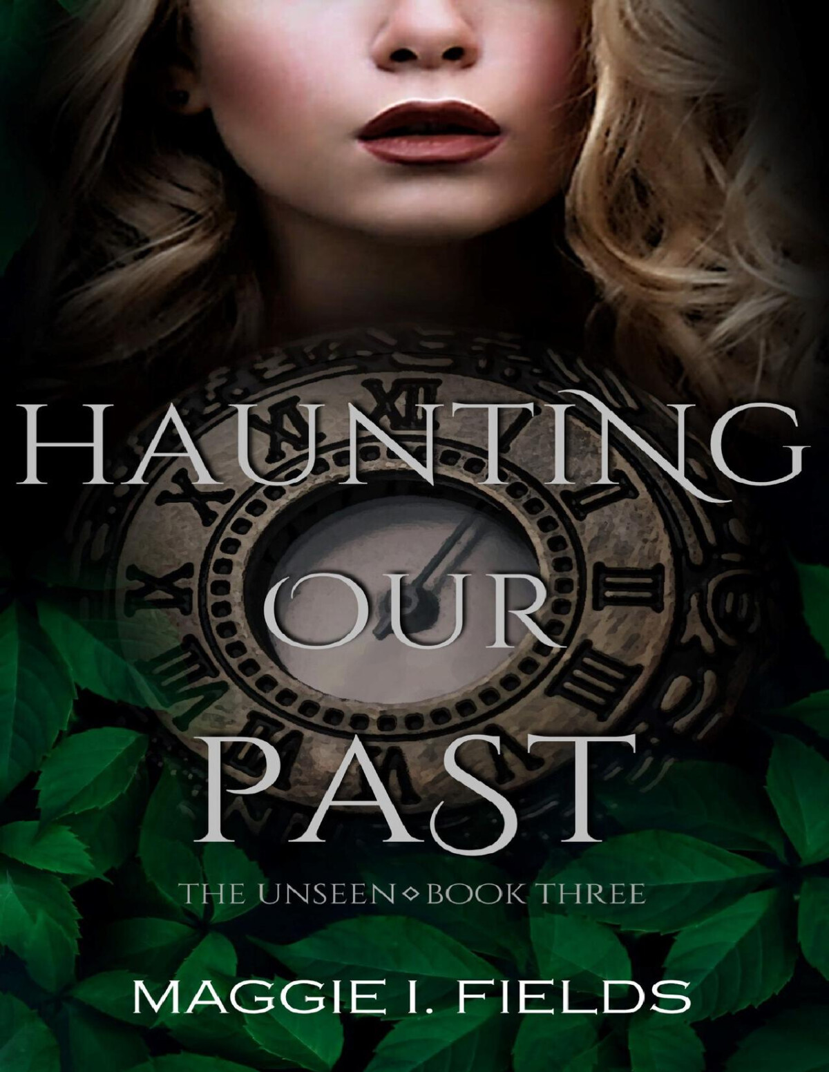 Haunting Our Past A Paranormal Romance Maggie I Fields