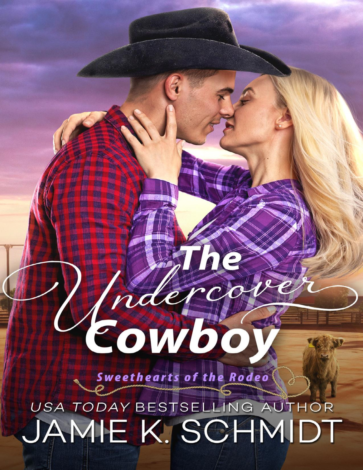 The Undercover Cowboy Sweethearts Of The Rodeo Book 3 Jamie K Schmidt