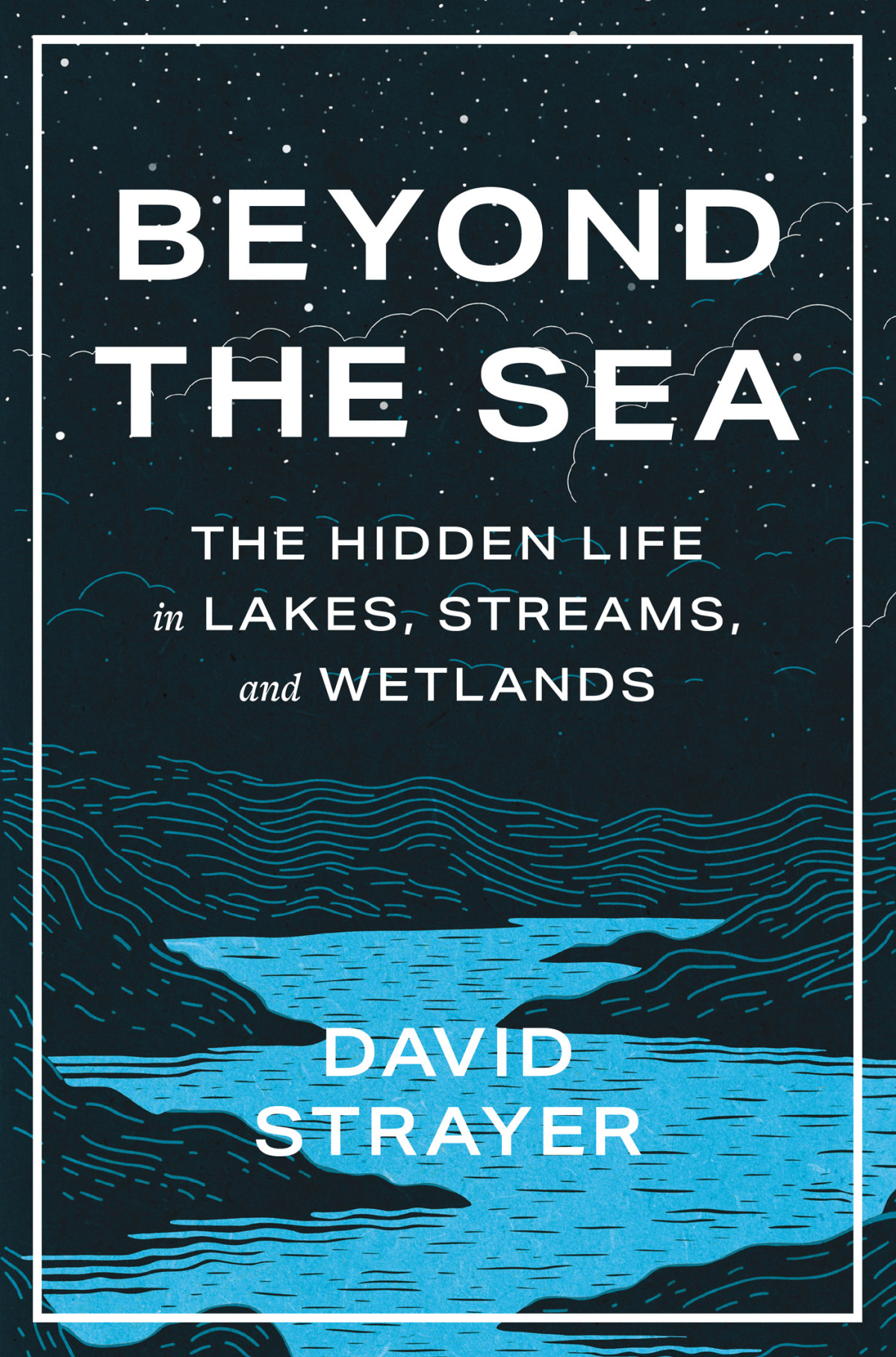 Beyond The Sea The Hidden Life In Lakes Streams And Wetlands David Strayer