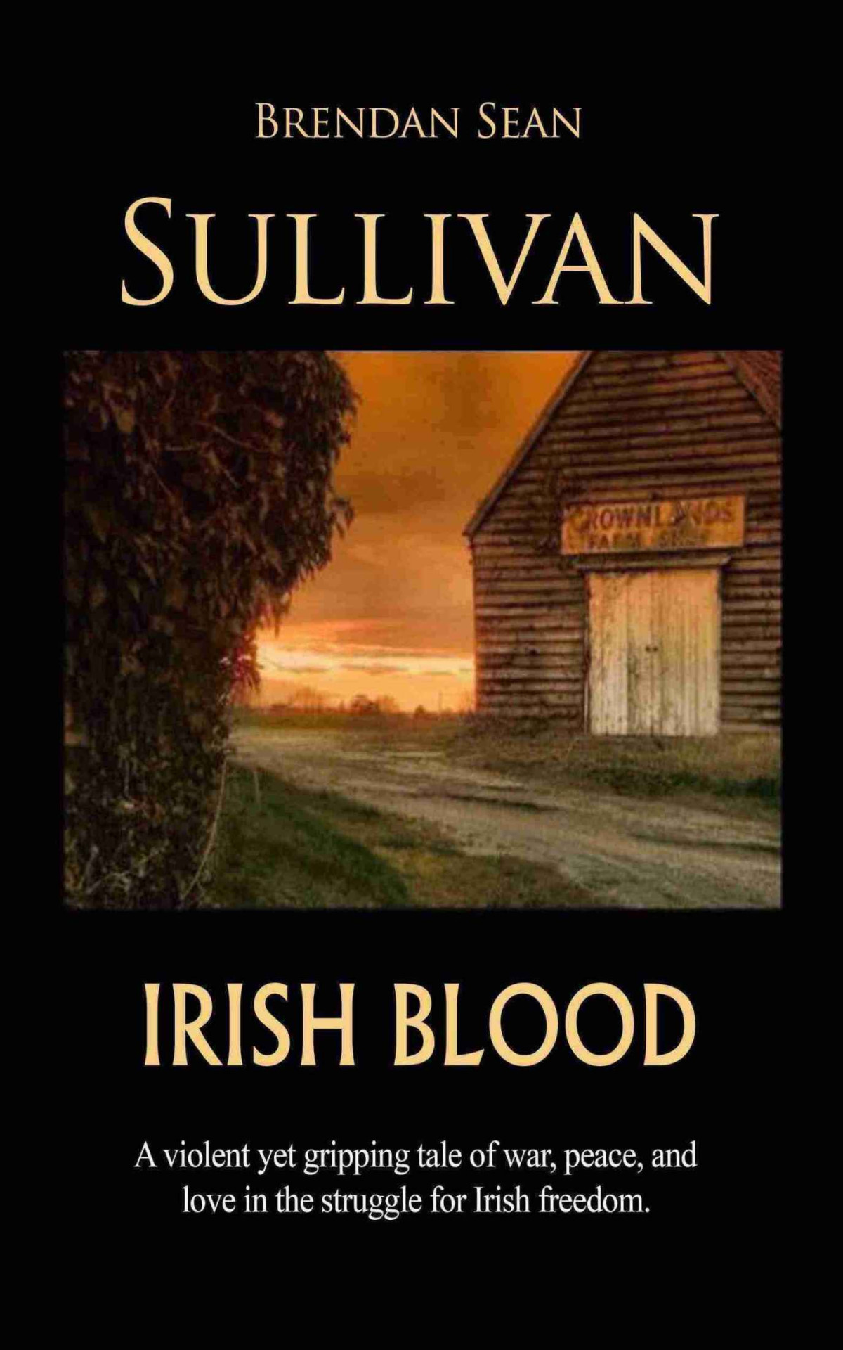 Irish Blood Brendan Sean Sullivan