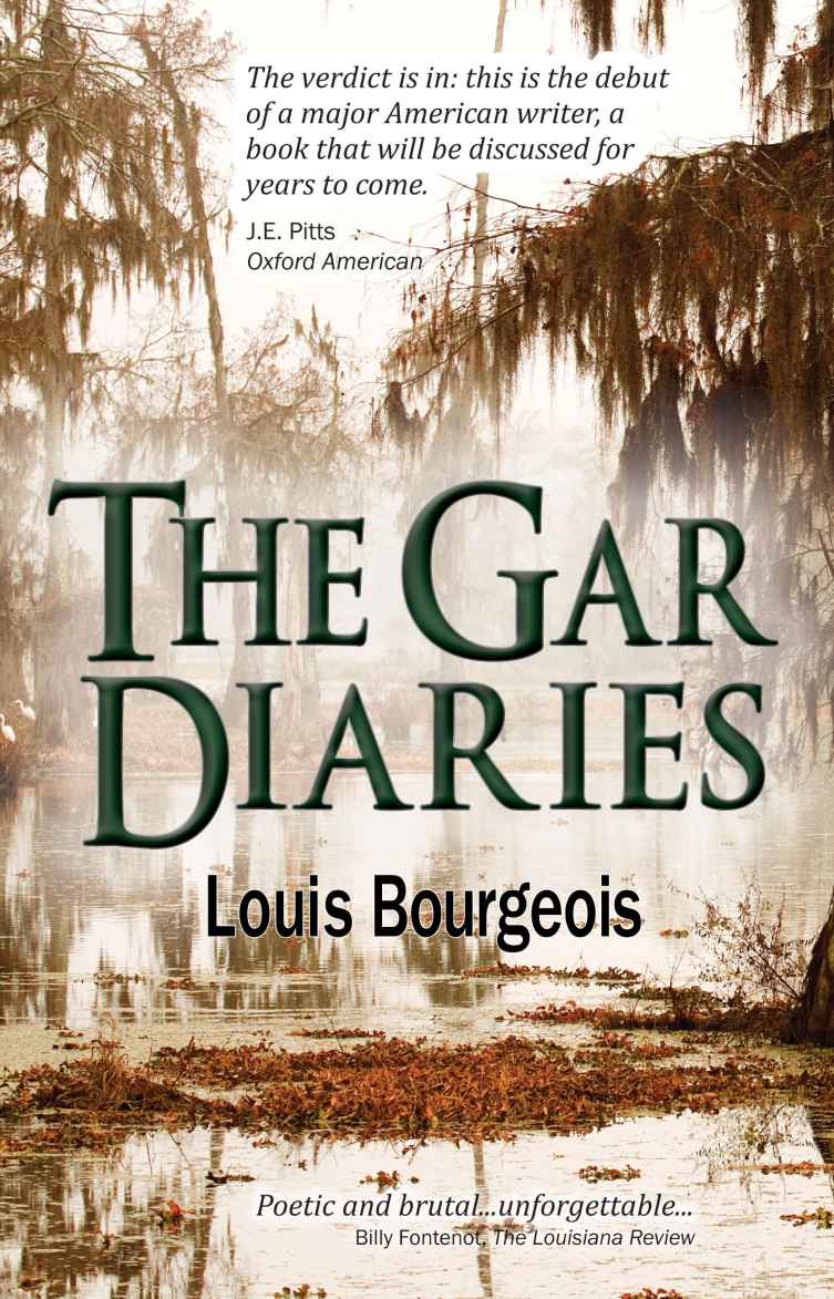 The Gar Diaries Louis Bourgeois