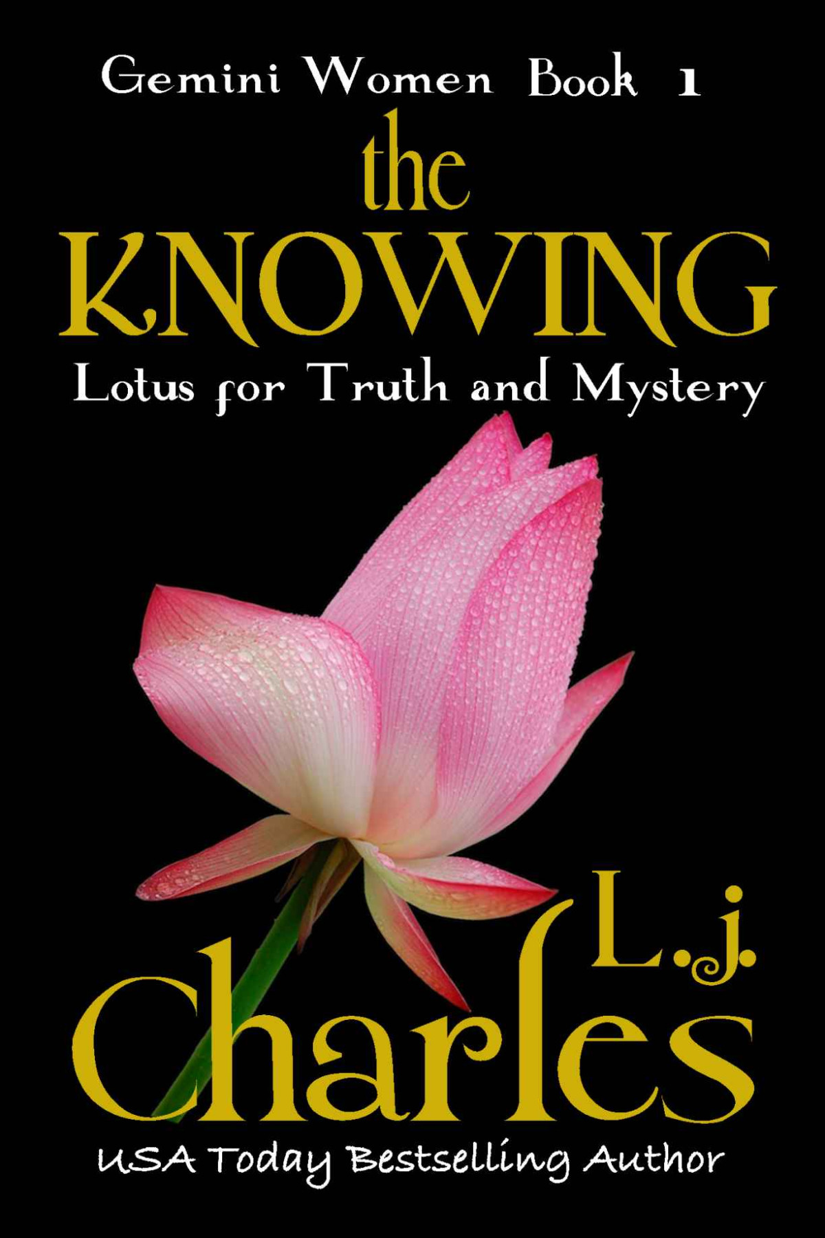 The Knowing Romantic Suspense The Gemini Women Trilogy L J Charles