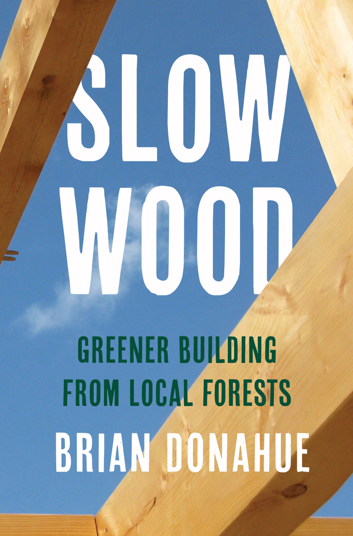 Slow Wood Brian Donahue