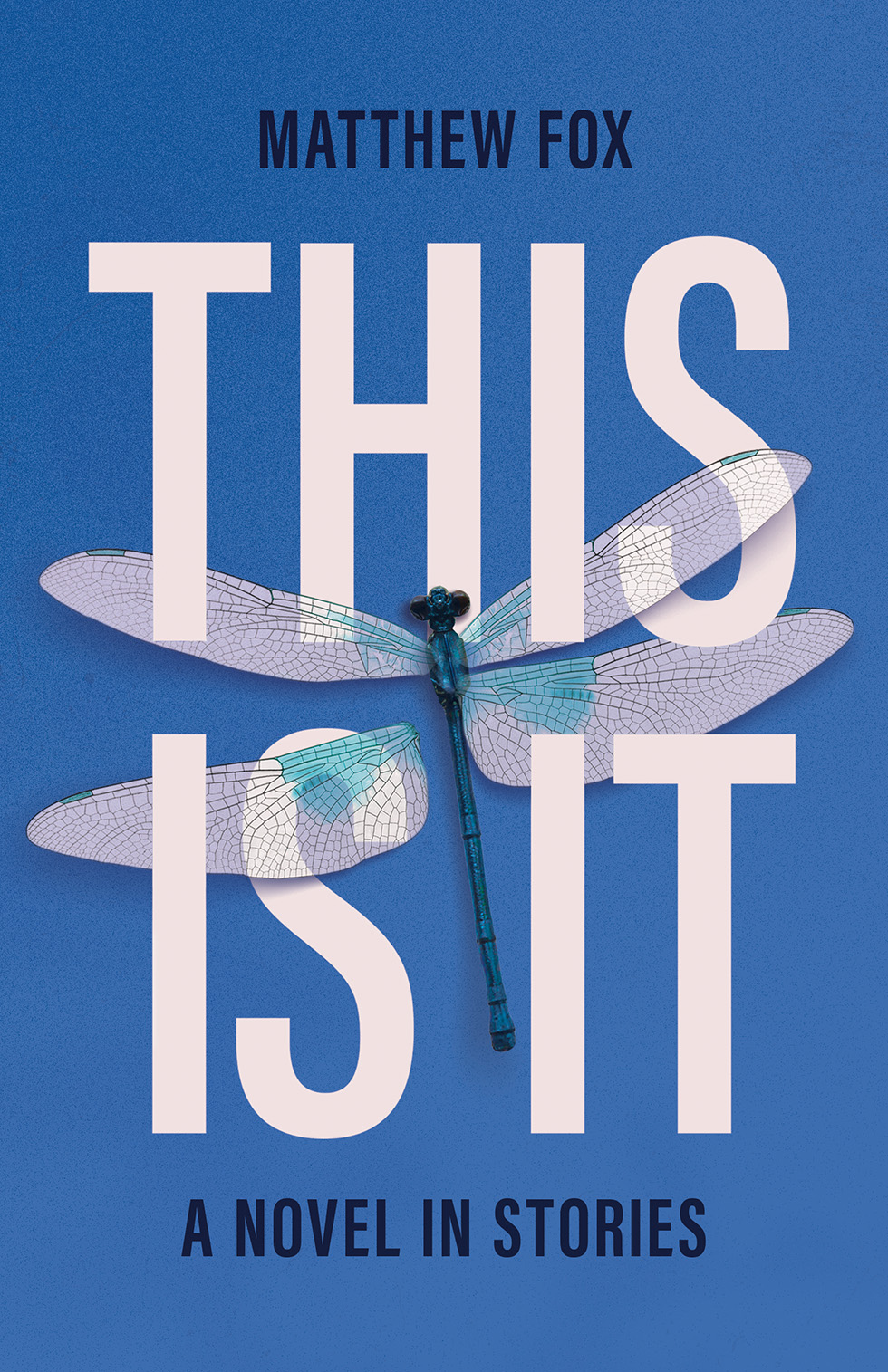 This Is It A Novel In Stories Matthew Fox