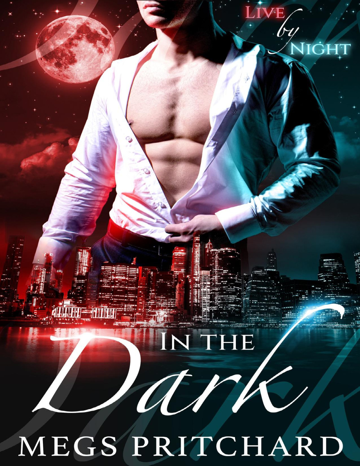In The Dark Megs Pritchard