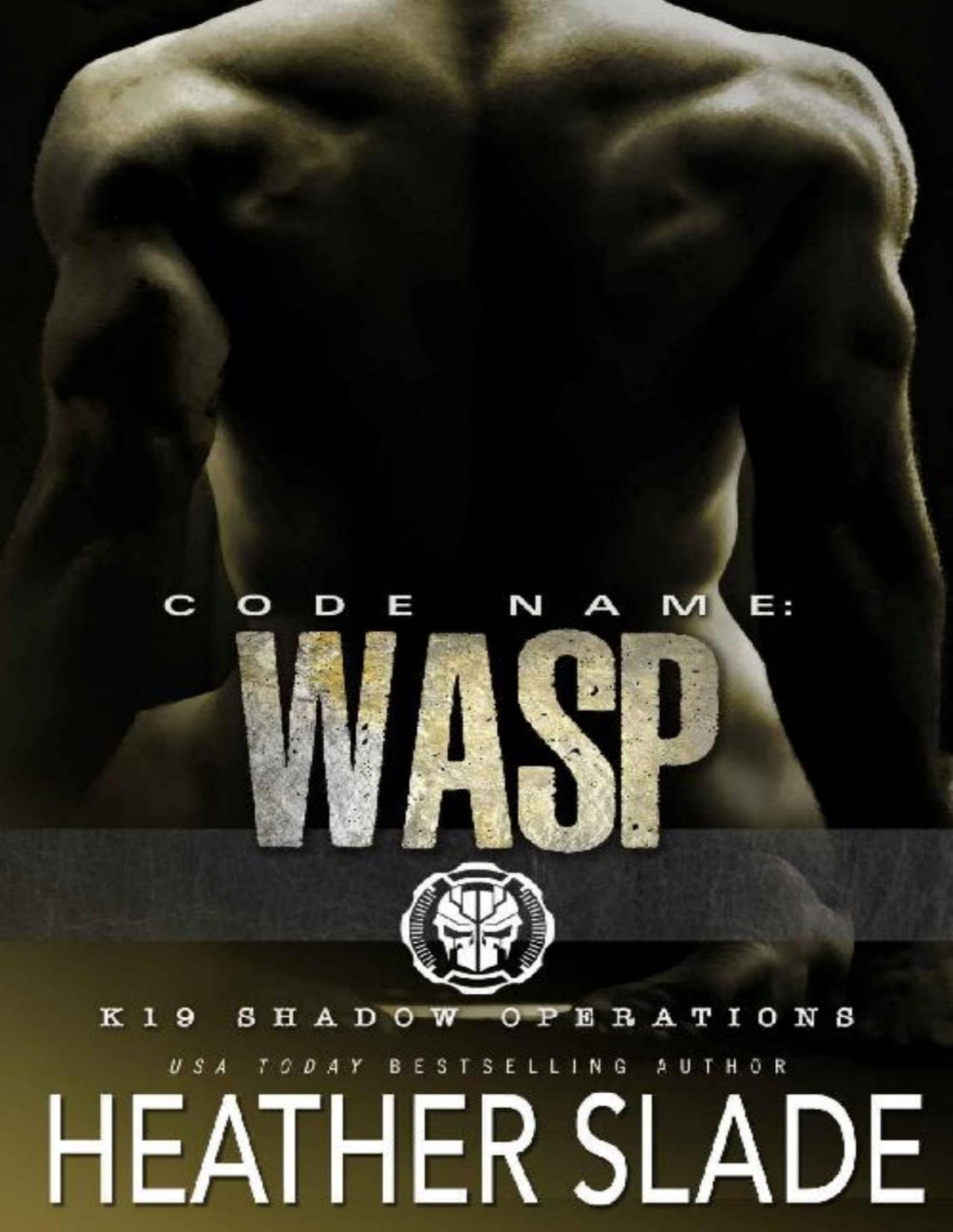 Code Name Wasp K19 Shadow Operations Book 3 Heather Slade