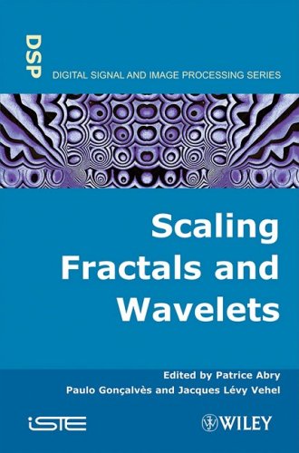 Scaling Fractals And Wavelets Patrice Abry Paolo Goncalves Jacques Levy Vehel