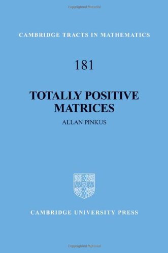 Totally Positive Matrices 1st Edition Pinkus Allan