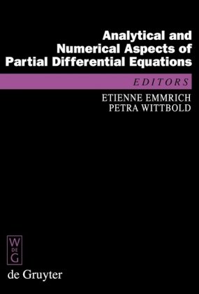 Analytical And Numerical Aspects Of Partial Differential Equations Notes Of A Lecture Series 1st Edition Etienne Emmrich