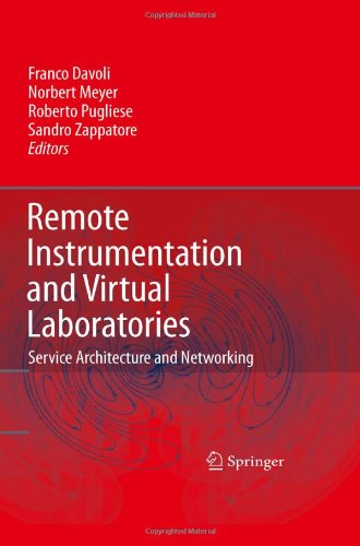 Remote Instrumentation And Virtual Laboratories Service Architecture And Networking 1st Edition M Pciennik