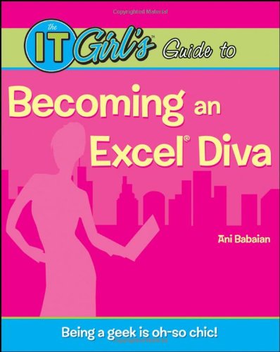 The It Girls Guide To Becoming An Excel Diva Ani Babaian