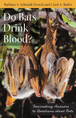 Do Bats Drink Blood Fascinating Answers To Questions About Bats Barbara A Schmidtfrench