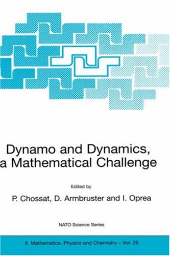 Dynamo And Dynamics P Chossat Dieter Armbruster Iuliana Oprea
