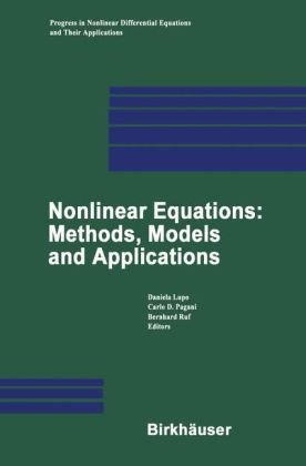Nonlinear Equations Methods Models And Applications Daniela Lupo